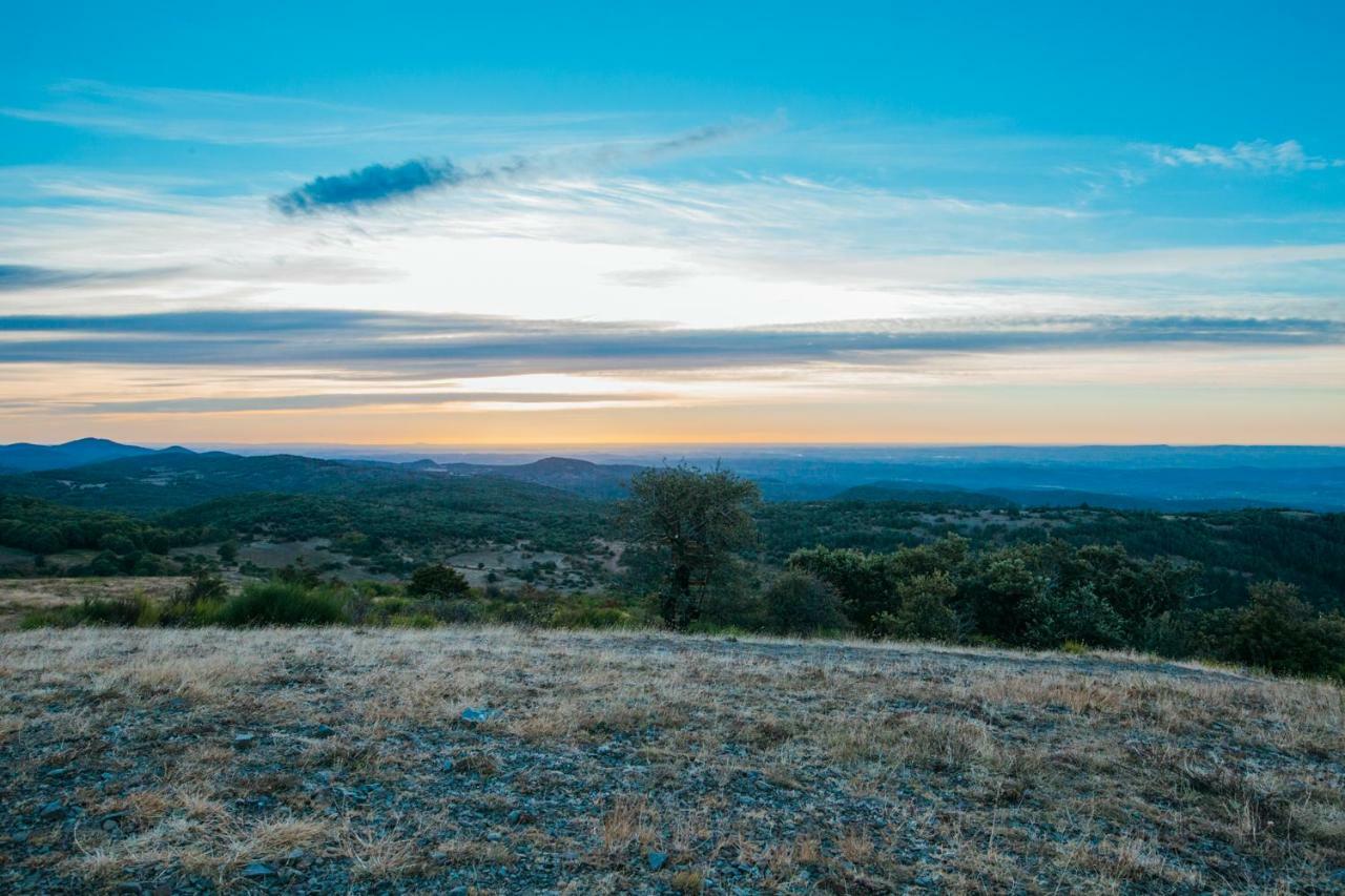 Domaine De Merlac Rieussec ภายนอก รูปภาพ